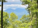 1251 Arborcrest Way 41 sold home in Swannanoa, SC