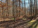 Lot 18 Kingfisher Lane sold home in Sylva, SC