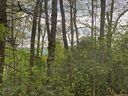 999 Stillhouse Road sold home in Brevard, SC