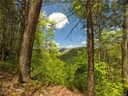 Lot 90 Bear River Lodge Trail sold home in Marshall, SC