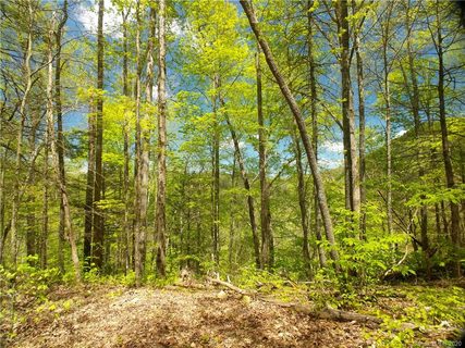 Lot 91 Bear River Lodge Trail