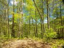 Lot 91 Bear River Lodge Trail sold home in Marshall, SC