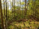 Lot 101 Bear River Lodge Trail sold home in Marshall, SC