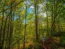 Lot 119 Bear River Lodge Trail sold home in Marshall, SC