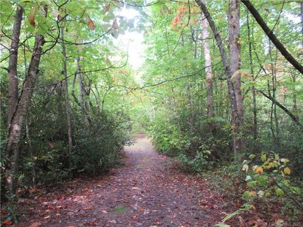Off Ben Nevis Road 15&16 sold lot in Highland Forest, Brevard, NC