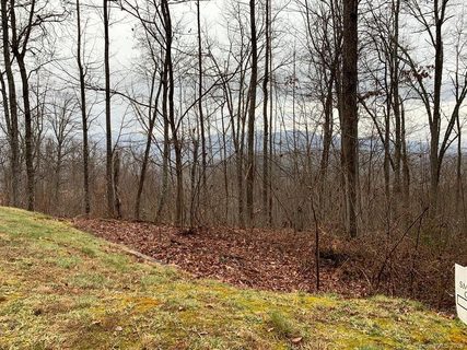 Lot 130 Wild Turkey Trail