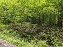 Lot 16 Bear River Lodge Trail sold home in Marshall, SC