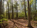1156 Bear River Lodge Trail 61 sold home in Marshall, SC