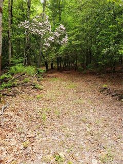 Lot 10a Dogwood Court 10A