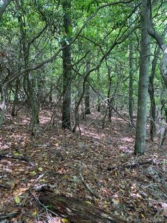 Tbd Falls View Drive 62 & 65 sold land listing in Stoney Brook, Pisgah Forest, NC