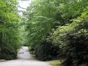 Lot 19 Holly Forest Court 19/1 sold home in Sapphire, SC