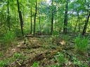 0 Bald Hill Court 91 sold home in Lake Lure, SC