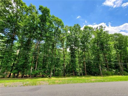 0 Whitney Place Road 29