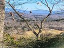 862 Mills River Way 40R sold home in Horse Shoe, SC