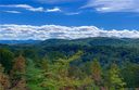 Woodlands 10 Curtain Bluff None sold home in Hendersonville, SC