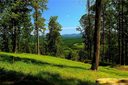 Lot C6 Longleaf Trail sold home in Hendersonville, SC