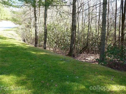 149 Chattooga Run 226