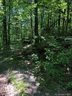 Lot 4b Lower Flat Creek Road 4B sold home in Black Mountain, SC
