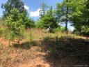 99999 Bear Cliff Circle 51 sold home in Nebo, SC