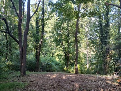35 Baxter Woods Lane 7 sold lot in Baxter Woods, Candler, NC
