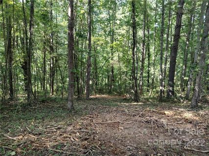 39 Baxter Woods Lane 8 sold lot in Baxter Woods, Candler, NC