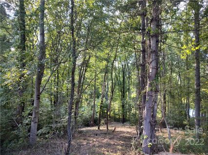43 Baxter Woods Lane 9 sold lot in Baxter Woods, Candler, NC