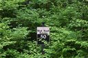 Tbd Zurich Road 50 sold home in Spruce Pine, SC