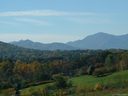 33 Al Dorf Drive 112 sold home in Weaverville, SC
