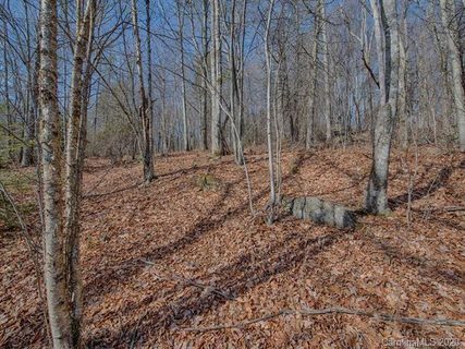 00 Eagles Nest Road Lots 1 & 2