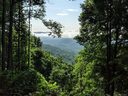 Lot T 46 315 Kalmia Lane T-46 sold home in Black Mountain, SC
