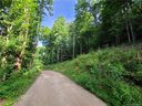 Lot 44 Laurel Mountain View Road sold home in Flat Rock, SC