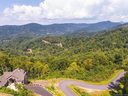 45 Bartrams Walk Drive 6 sold home in Asheville, SC