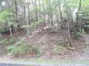 401 Greenstone Lane sold home in Mills River, SC