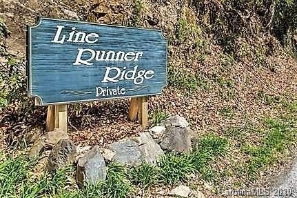 Lt 3 Line Runner Ridge Road