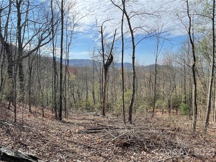 999 Laurel Knob Road