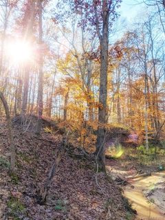2925 Holbrook Road 21 sold lot in The Ridge at Fort Mill, Fort Mill, SC