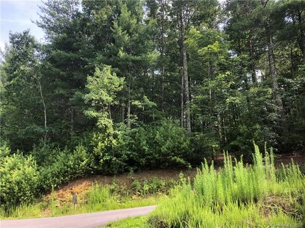 1691 Yellow Fork Trail 171
