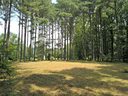 000 Fox Briar Drive 4 sold home in Columbus, SC