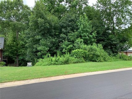 253 River Birch Circle 41 sold lot in The Woodlands, Mooresville, NC