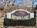 00 Swan Circle 20 & 21 sold home in Mills River, SC