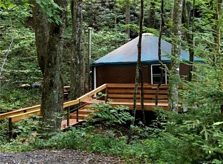 Tbd Bear Trail