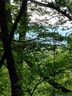 0 Sleepy Hollow Road 45 sold home in Connelly Springs, SC