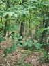 0 Sleepy Hollow Road 43 sold home in Connelly Springs, SC