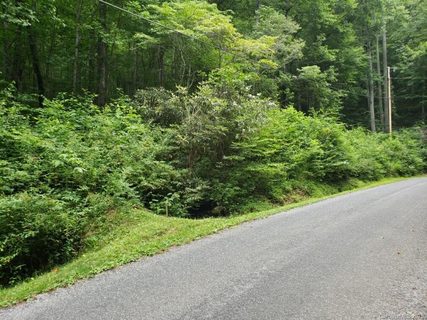 Lots 428 428a Chestnut Forest Road