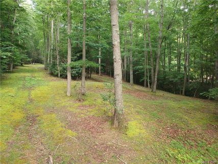 Tba Celo Cove Drive 48,49 sold home in The Cove at Celo Mountain, Burnsville, NC