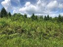 0 Carvos Parton Lane sold home in Rutherfordton, SC