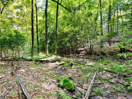 216 Forge Crest Drive LO37 sold lot in Forge Crest, Mills River, NC