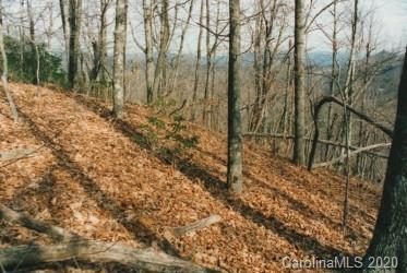9999 Sand Branch Road sold land listing in Dill Trust, Black Mountain, NC