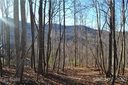1305 Double Knob Drive Lot 95 sold home in Arden, SC