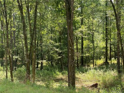 1587 Aragon Beach Road 6